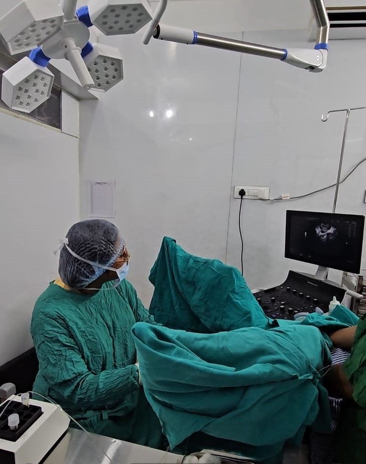 अंडे का परिपक्व होना और संग्रहण