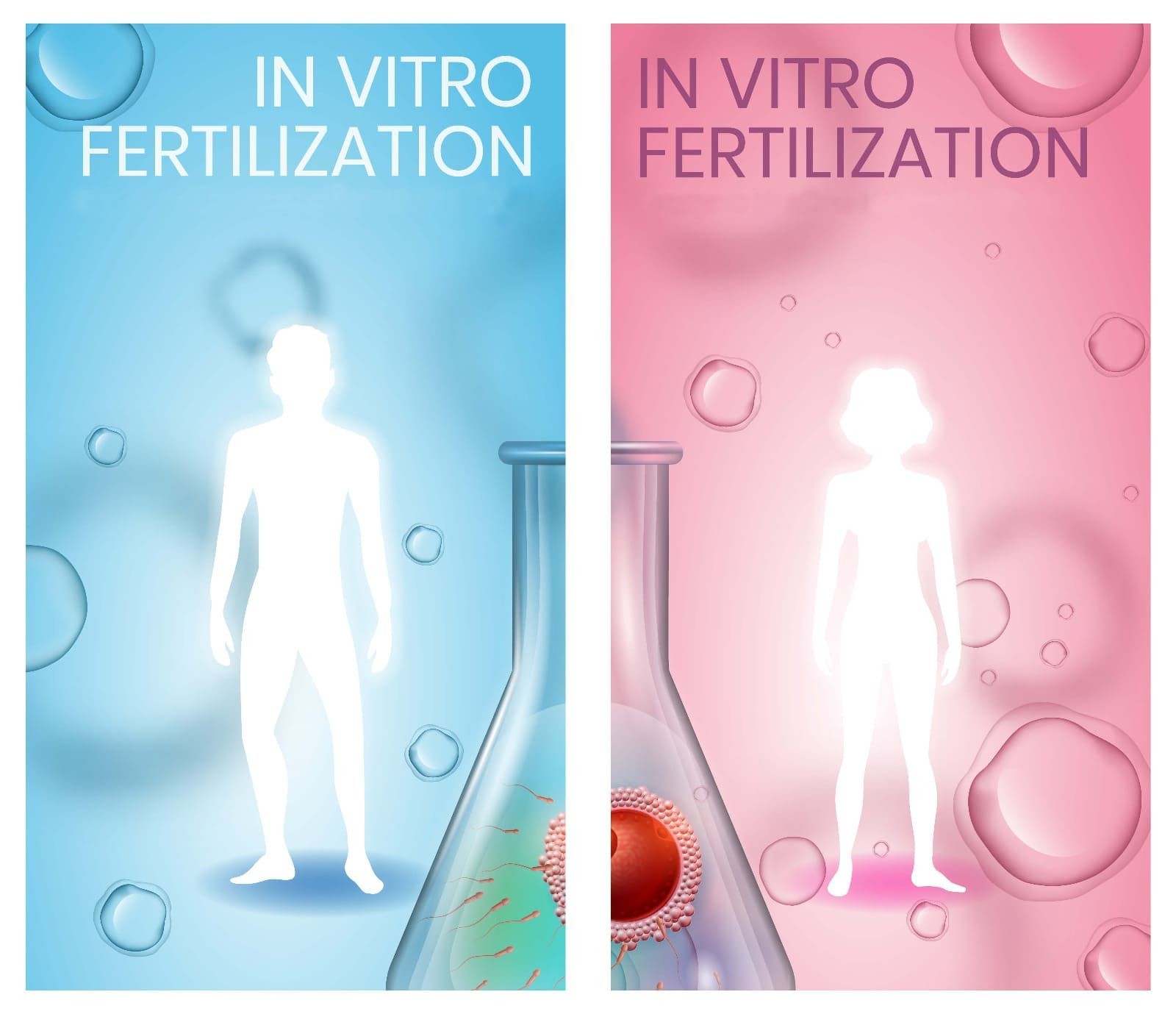 Comprehensive Fertility Testing