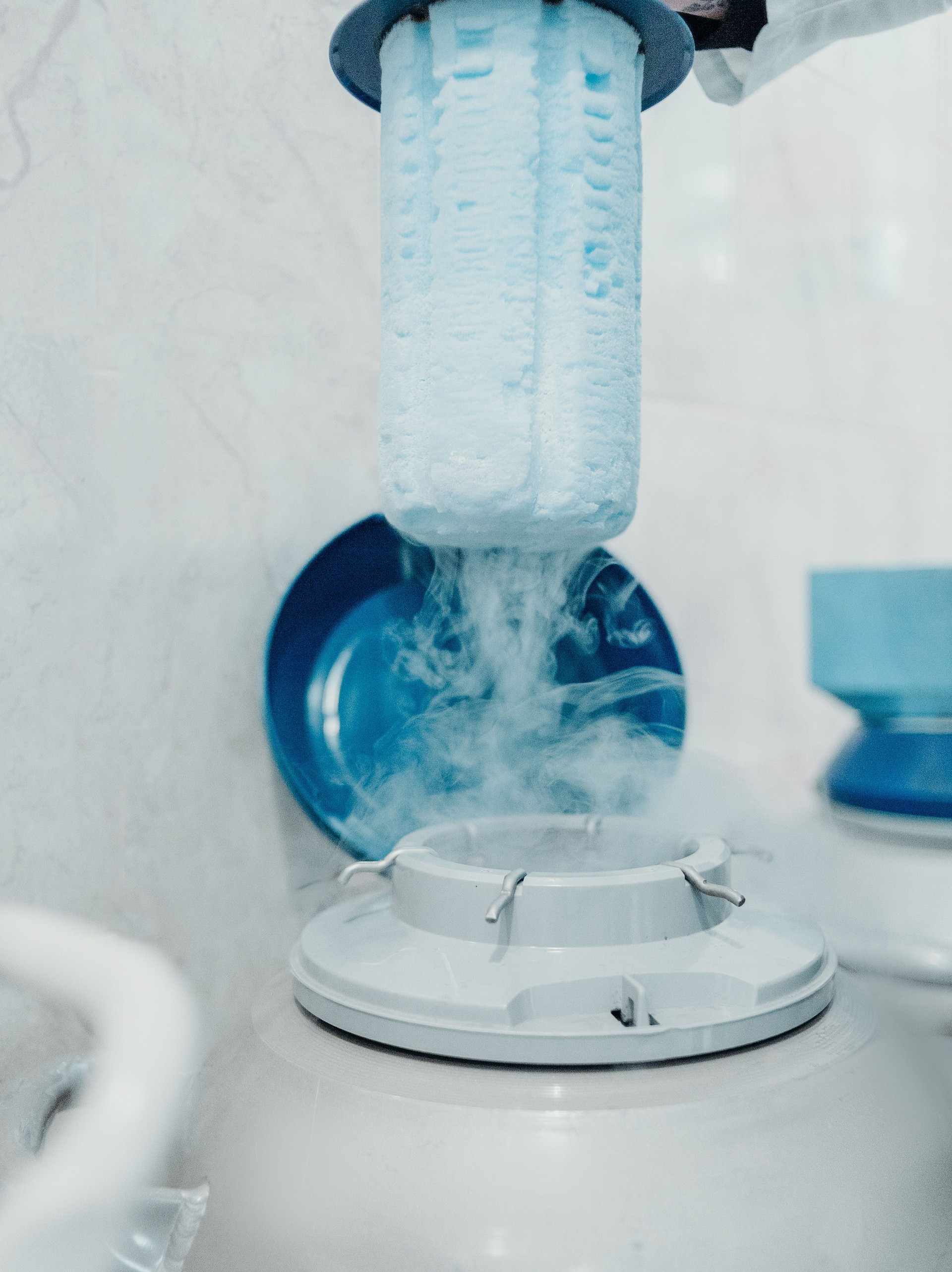 test tube under a microscope