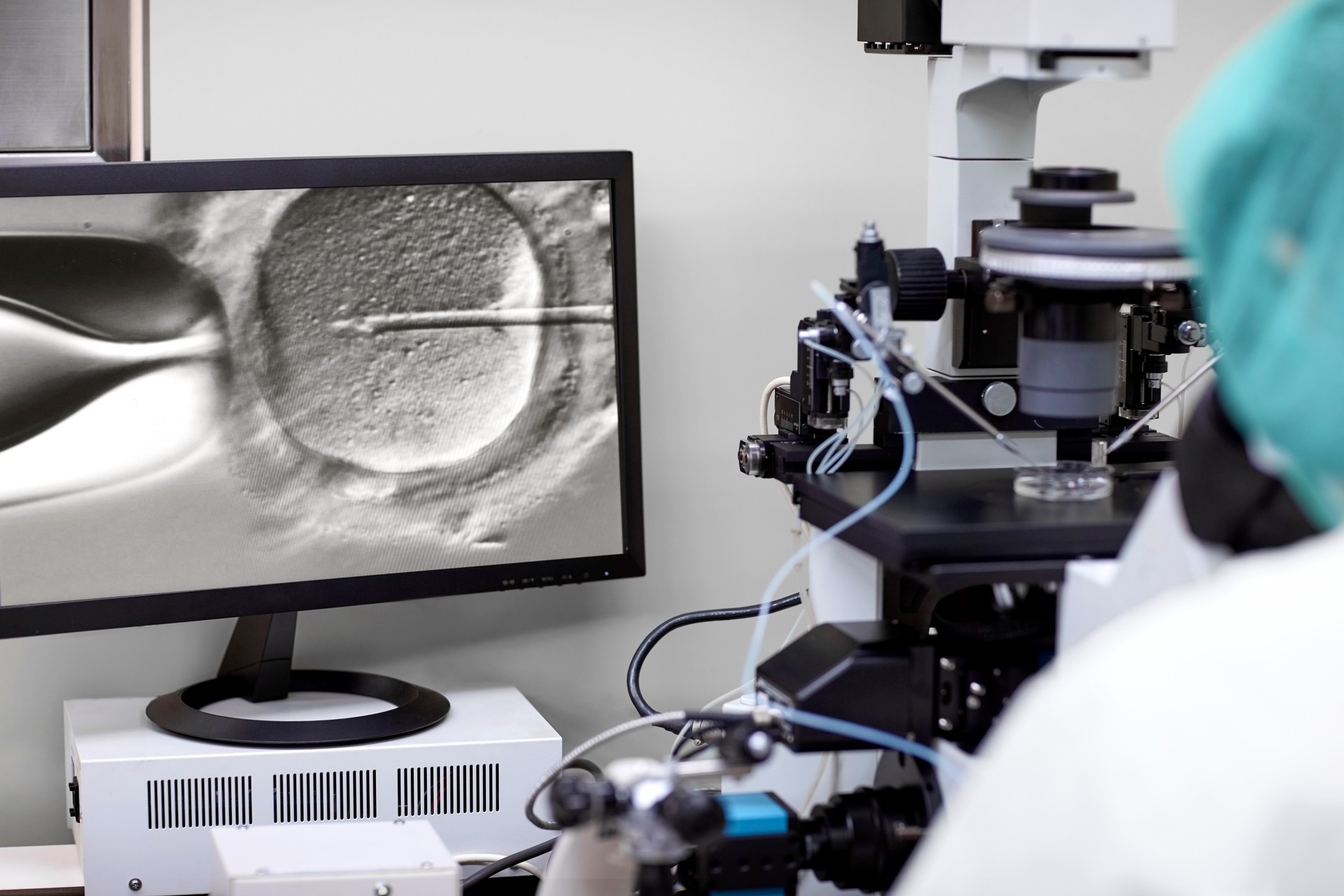 Embryologist fertilizing an egg with sperm ICSI