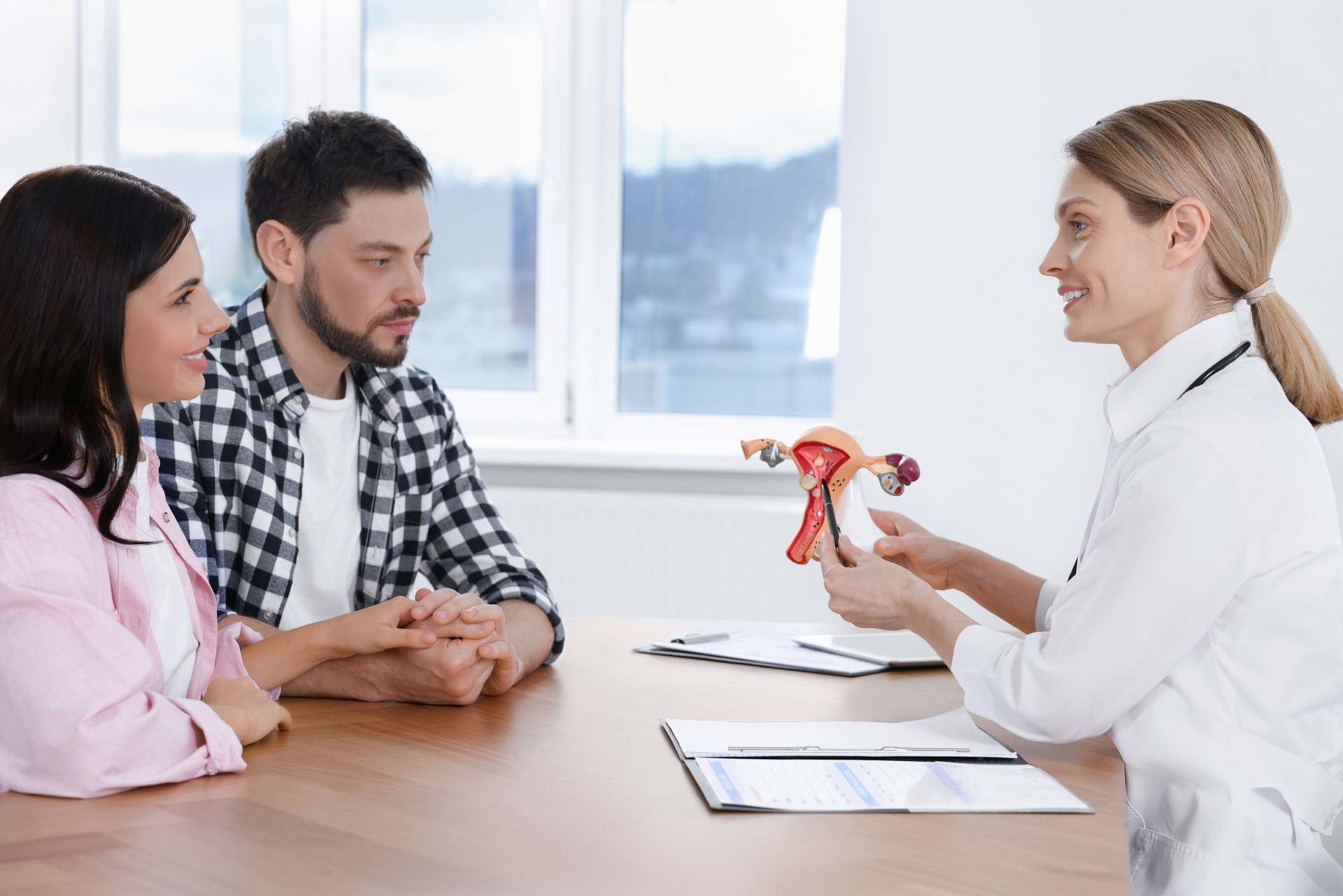 Fertility doctor demonstrating model of female reproductive system to couple in clinic. Patient consultation