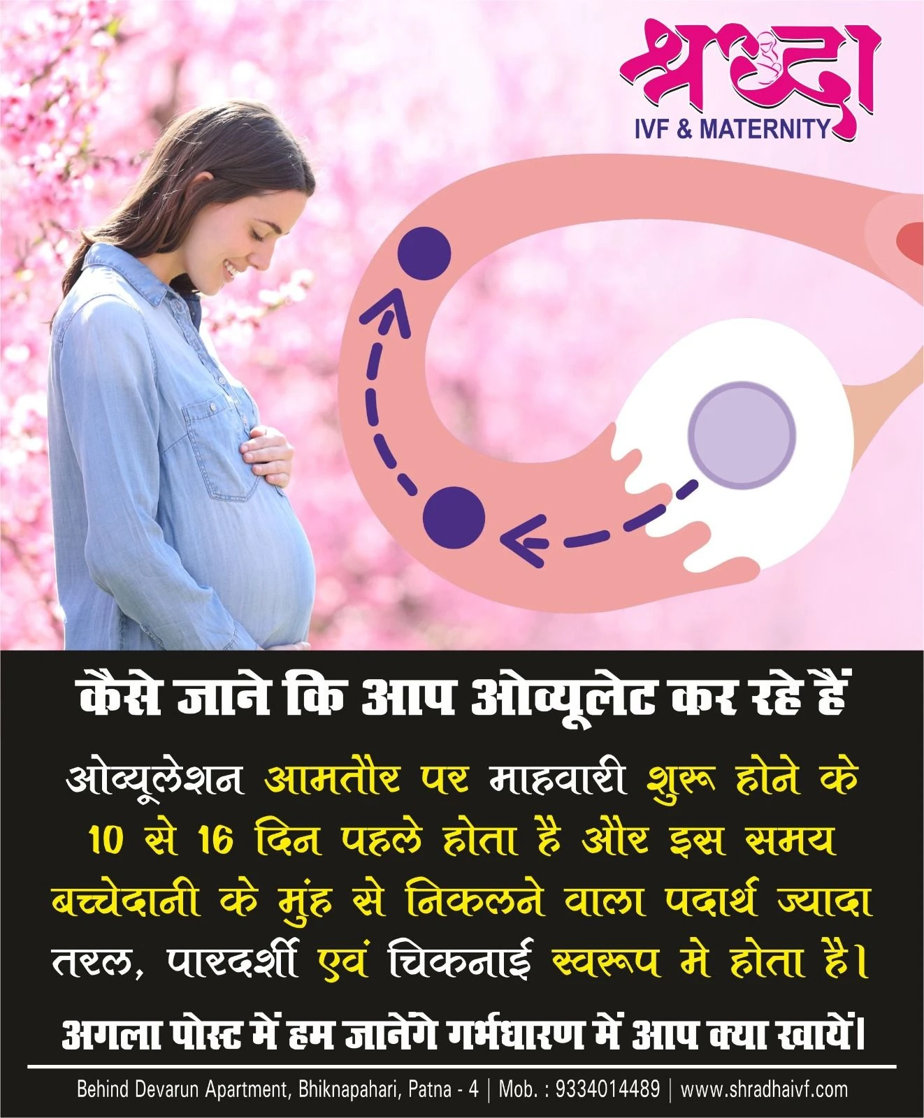 know the evolution days to get pregnant