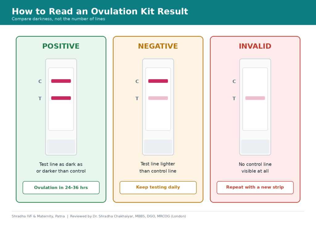 how to read ovulation kit results