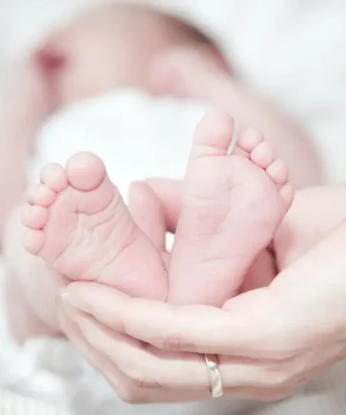 Free Delivery Cost at shradha ivf